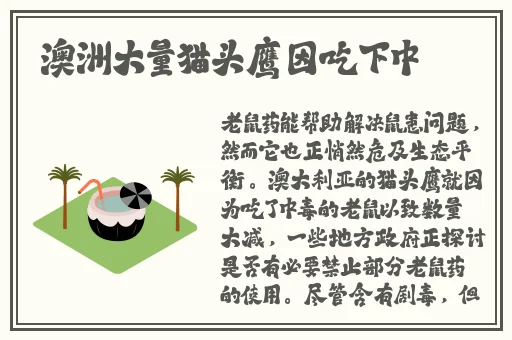 打扑克全过程软件下载